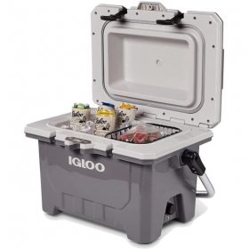 Igloo 50536 24 qt. Imx Ice Chest