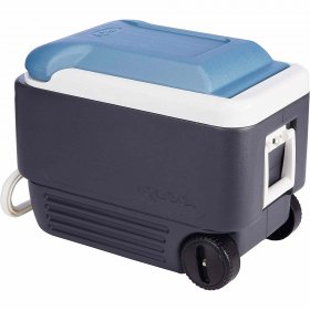 Igloo Quart MaxCold Cooler, Blue/Navy, 40 Qt