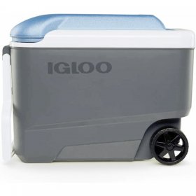 IGLOO MaxCold 40 qt. Roller Hard Cooler Jet Carbon/Ice Blue