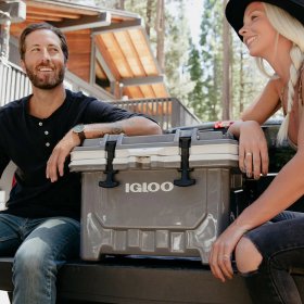 Igloo 50536 24 qt. Imx Ice Chest